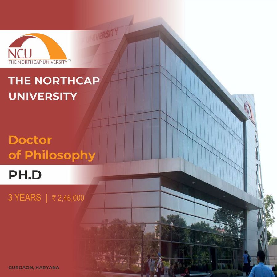 The Northcap University
